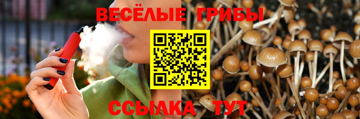 даркнет сайт  Псилоцибиновые грибы Psilocybe  Вход с VPN  Новоалтайск 